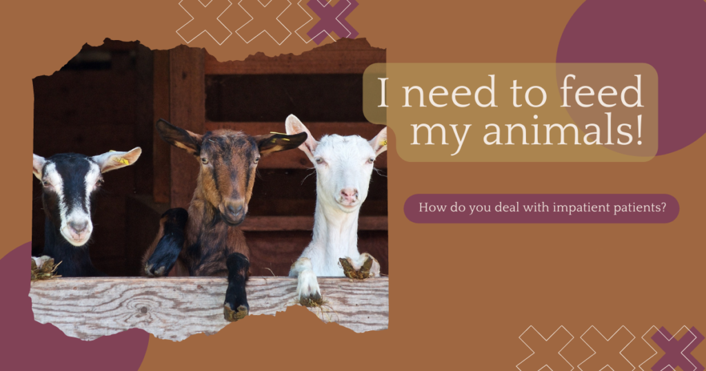 How do you deal with inpatient patients? "I need to feed my animals" with a picture of three goats